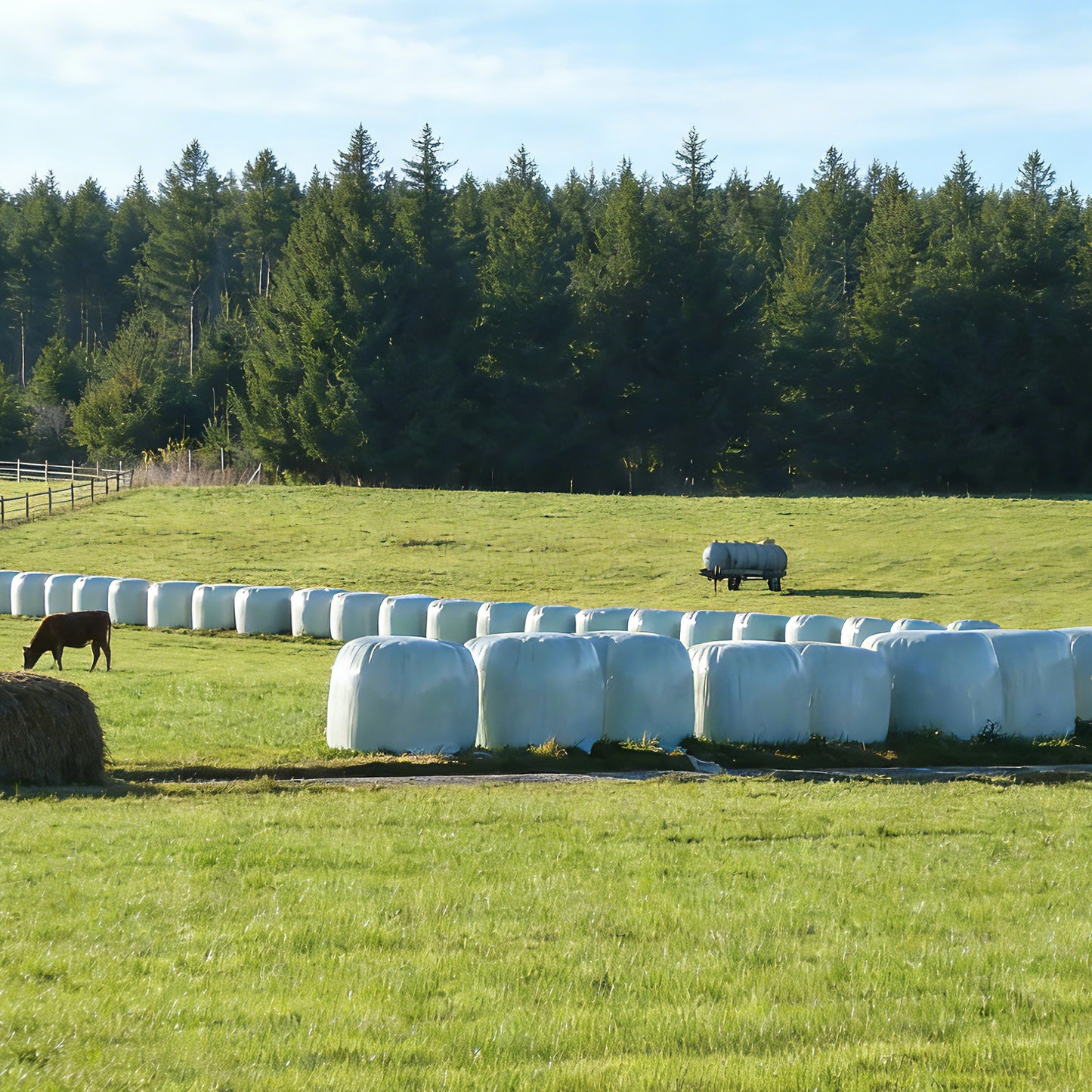Bale Net Wrap