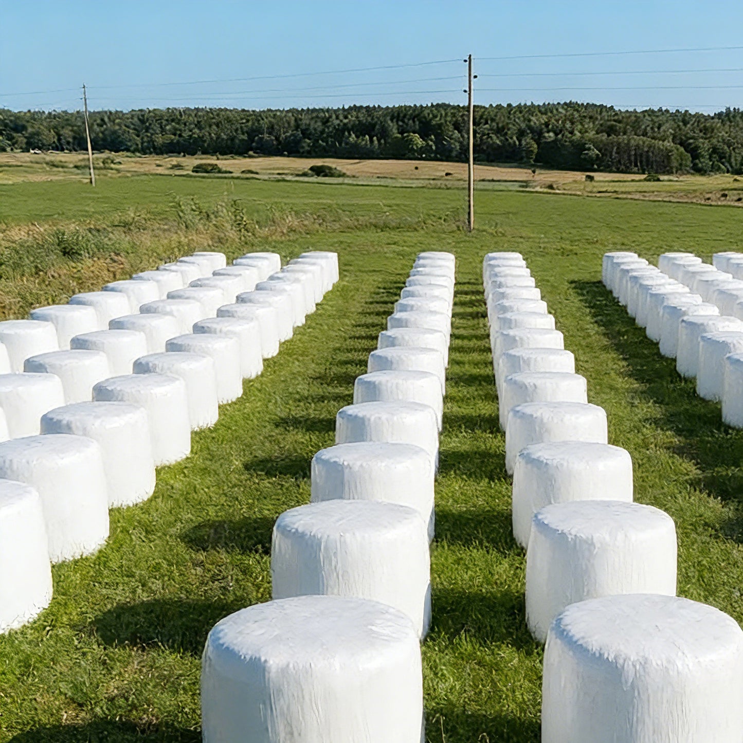 Bale Net Wrap